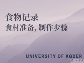 University of Agder交换记录-食物记录