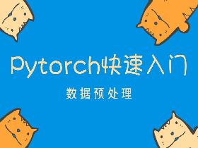 Pytorch入门教程10-数据预处理
