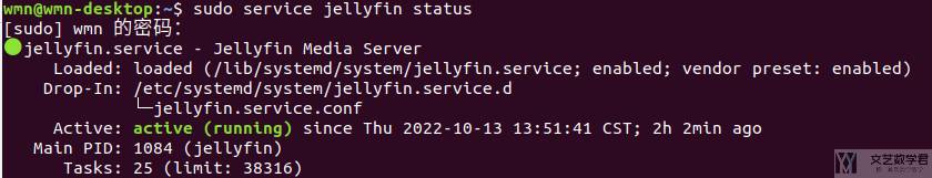 Ubuntu 下安装 Jellyfin 家庭影院