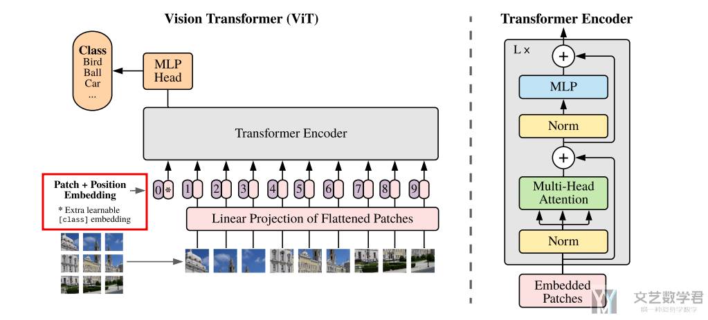 Vision Transformer (ViT) 介绍