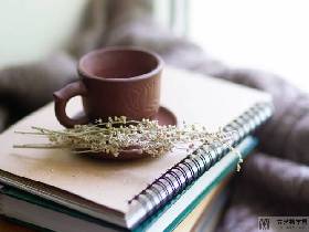 科学了解防治脂肪肝