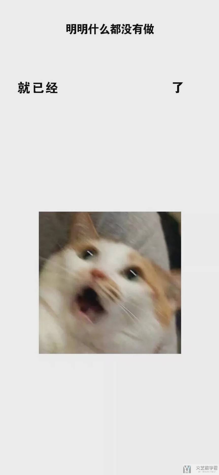 北邮人论坛十大_2023_12_10