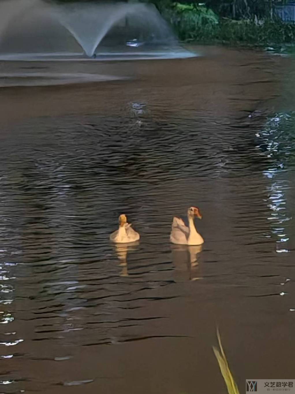 北邮人论坛十大_2024_05_20