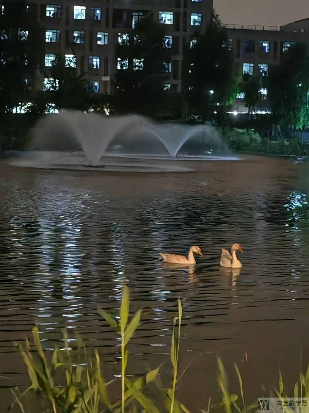 北邮人论坛十大_2024_05_20