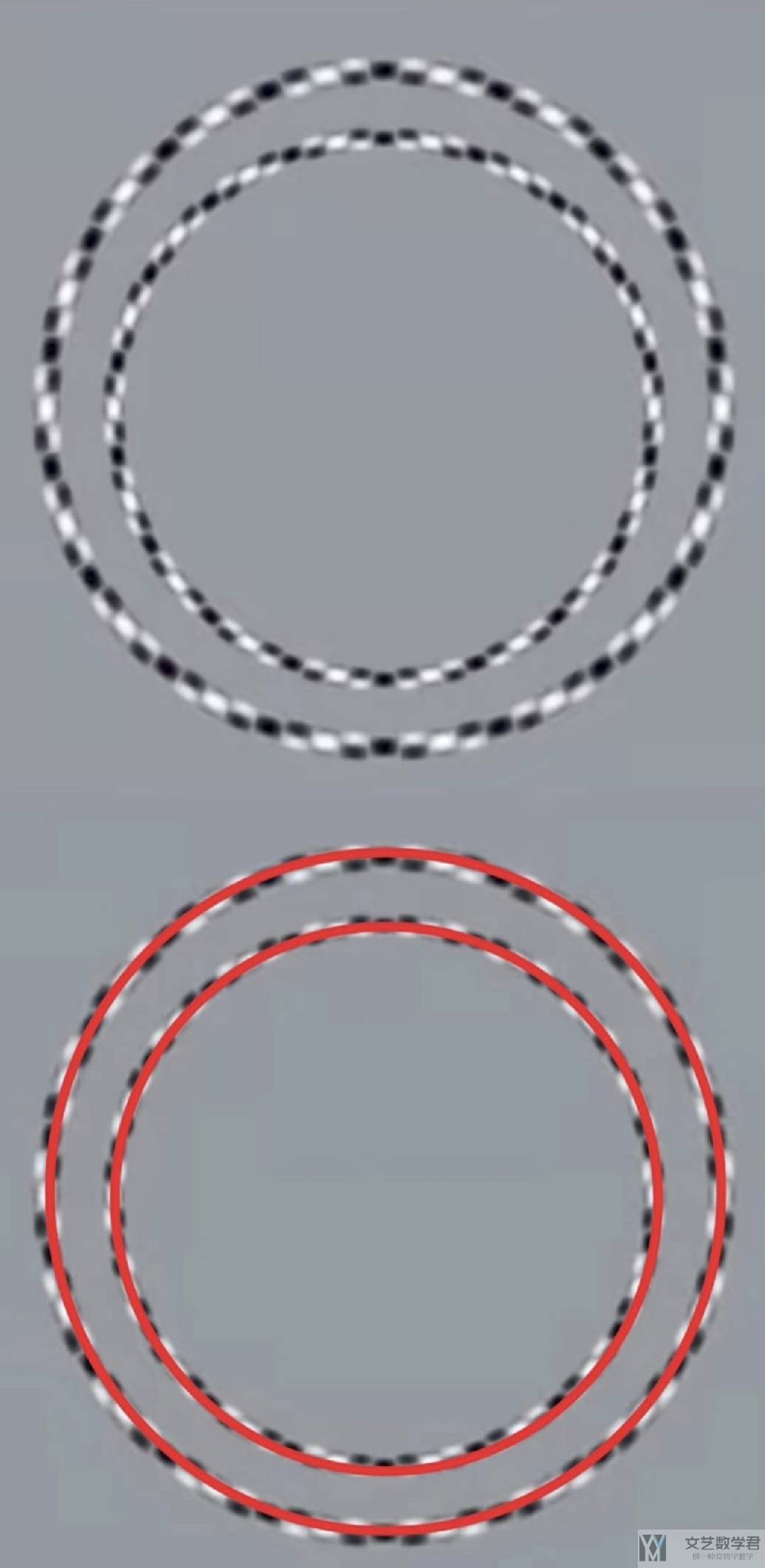 北邮人论坛十大_2026_01_01