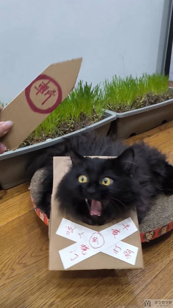 北邮人论坛十大_2026_01_10