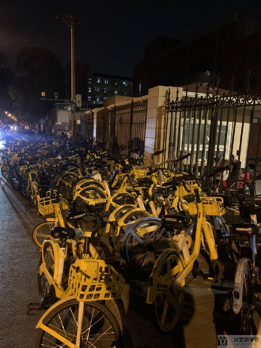 北邮人论坛十大_2026_01_11