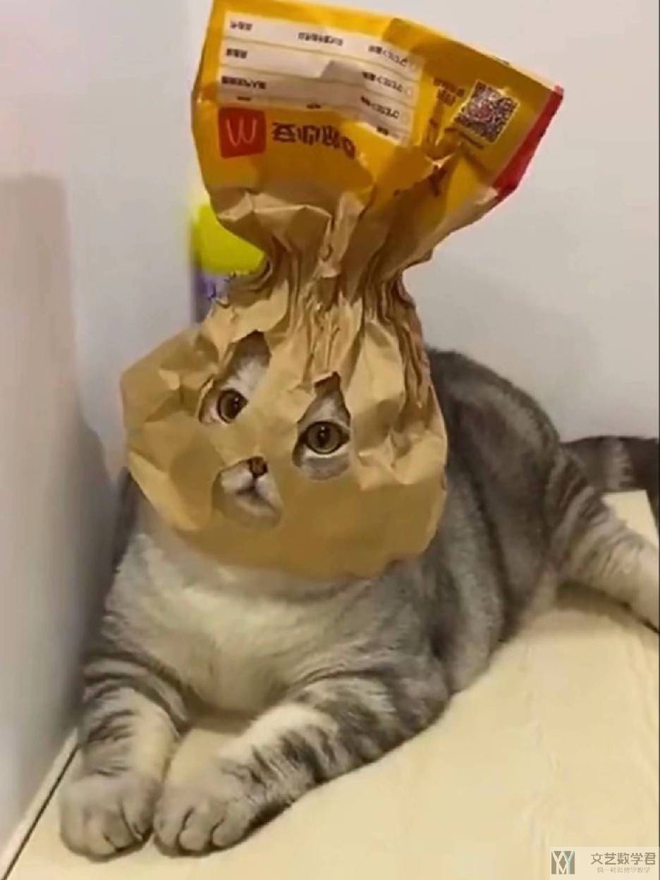 北邮人论坛十大_2026_01_23