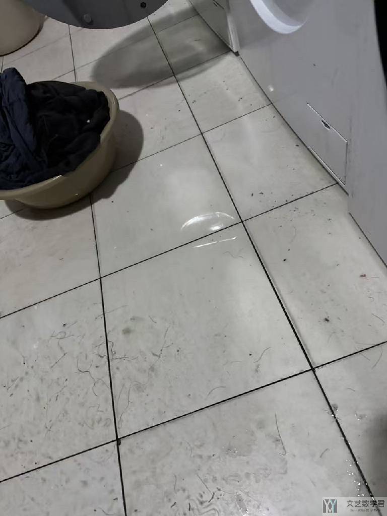 北邮人论坛十大_2026_01_24